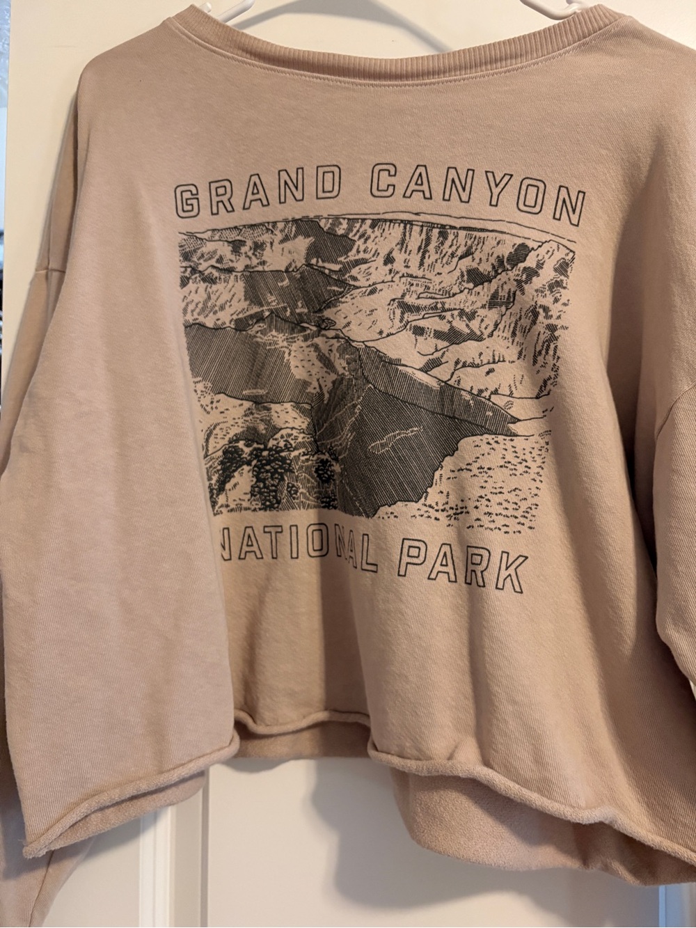 Grand Canyon Graphic Long Sleeve Tee - Beige